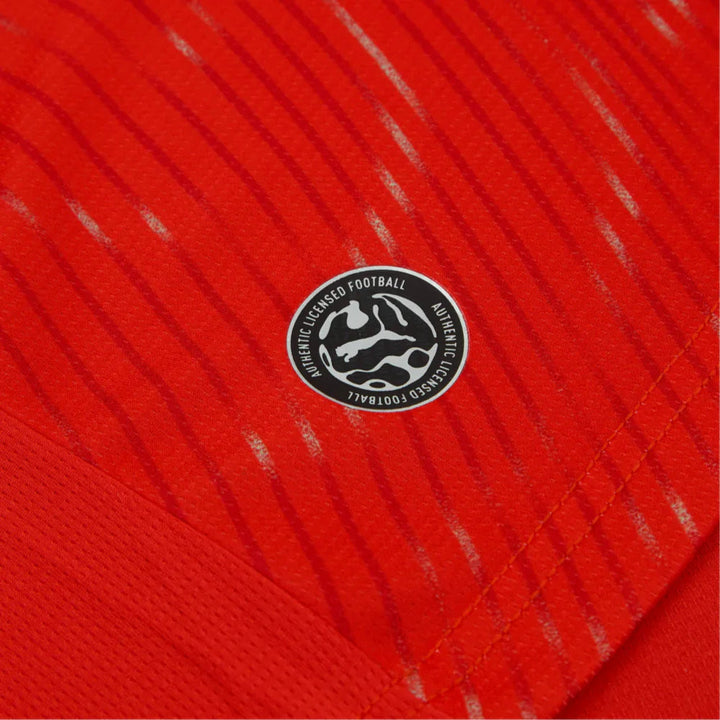 Switzerland Home 2026/27